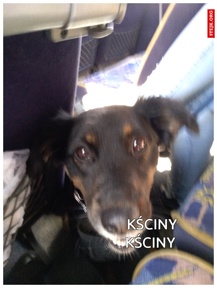 Kściny Kściny 