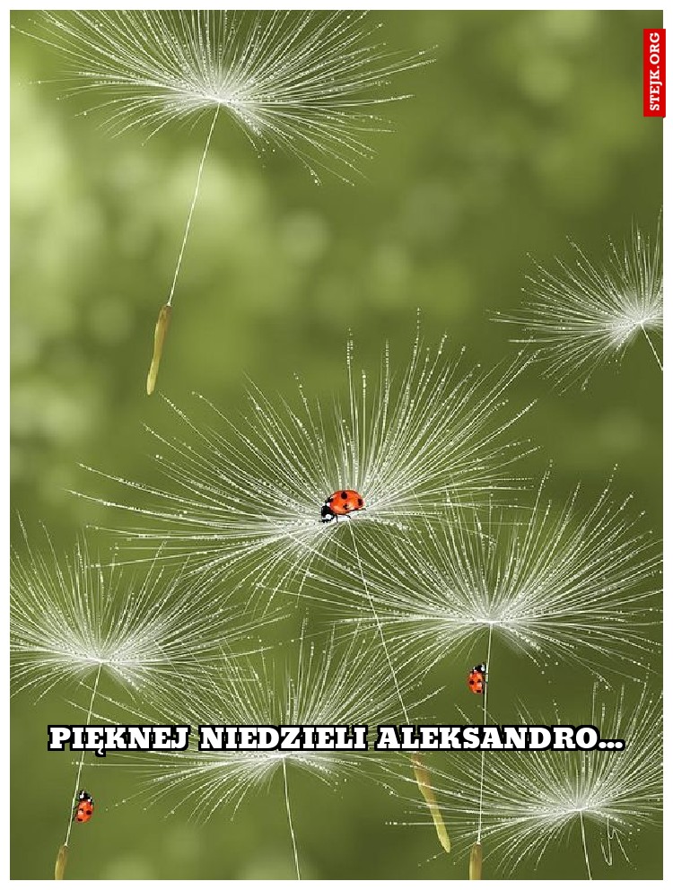 pięknej niedzieli aleksandro...