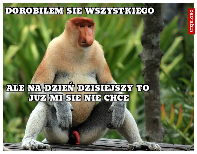 dorobiłem sie wszystkiego