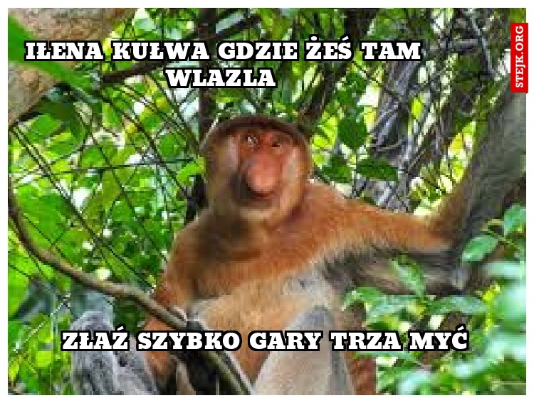 IŁENA KUŁWA GDZIE ŻEŚ TAM WLAZLA 