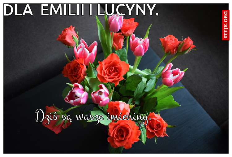 Dla  emiliI I LUCYNY.