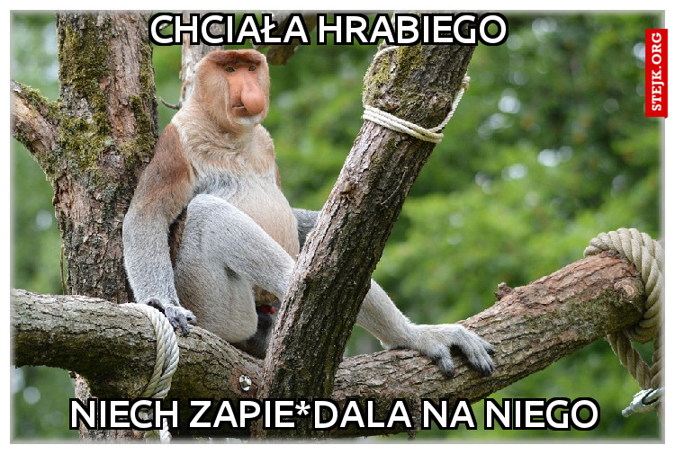 Chciała hrabiego 