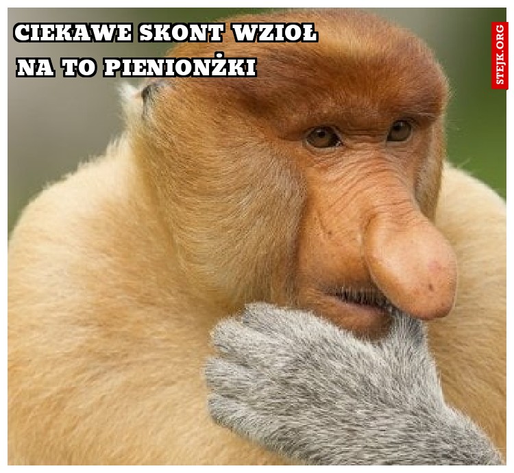 na to pienionżki