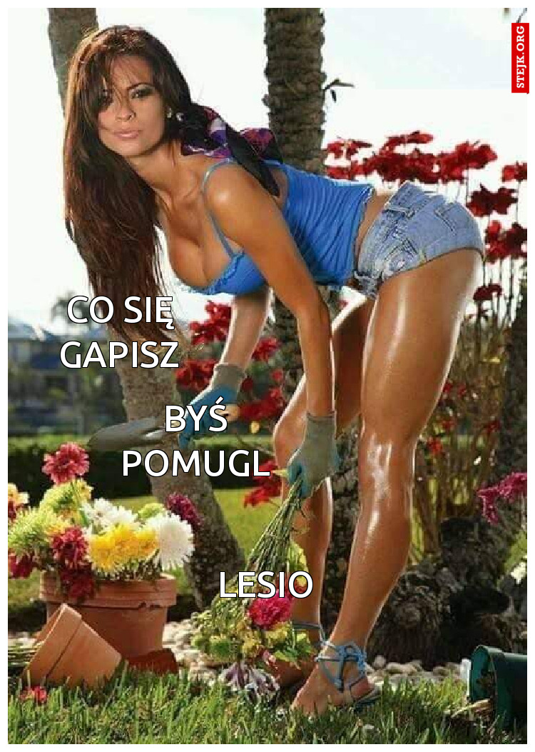 Co się gapisz
