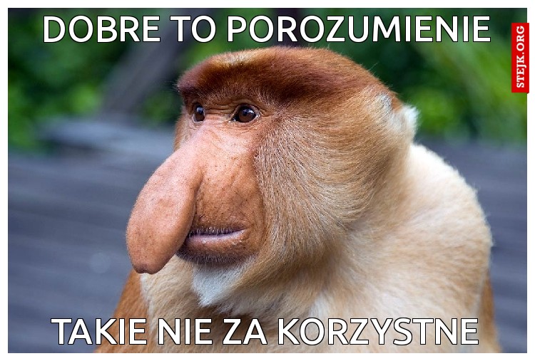 DOBRE TO POROZUMIENIE