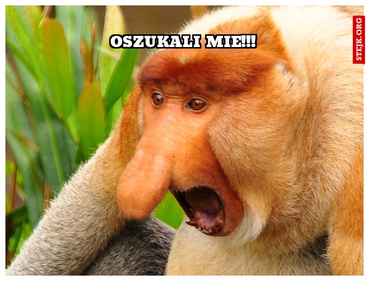 Oszukali Mie!!!