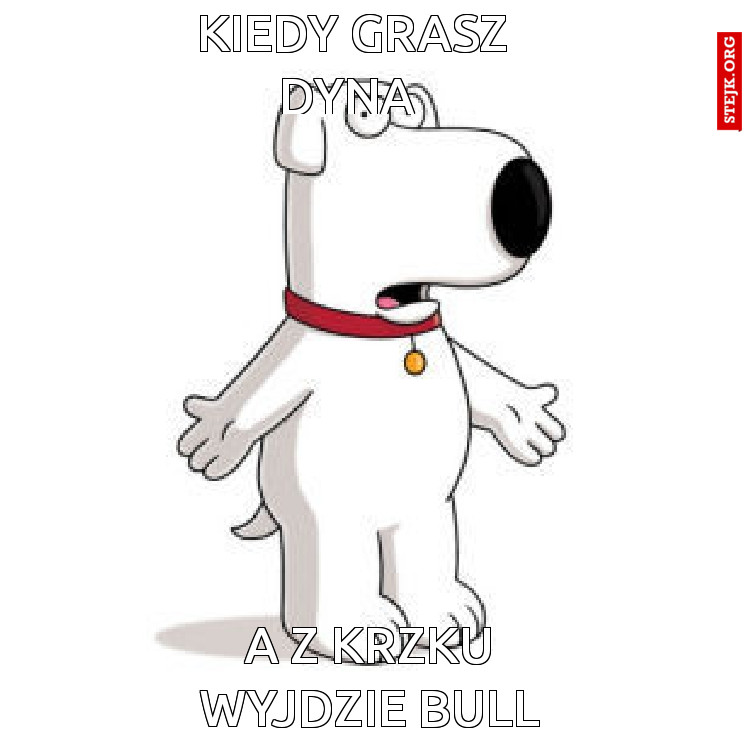 Kiedy grasz dyna 