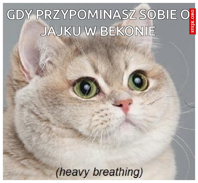 gdy przypominasz sobie o jajku w bekonie