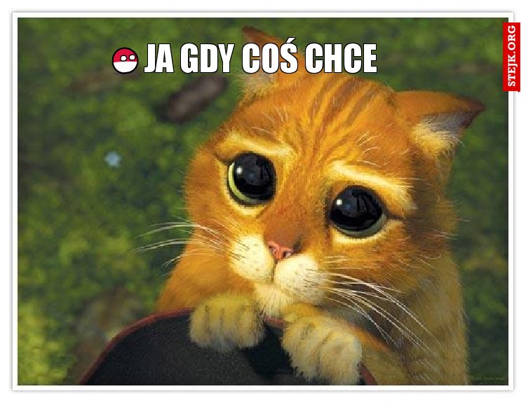 ja gdy coś chce