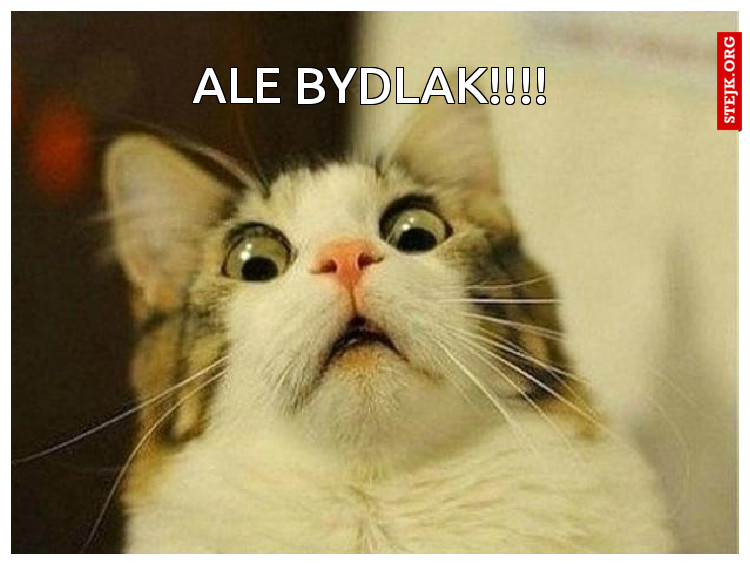 ALE BYDLak!!!!