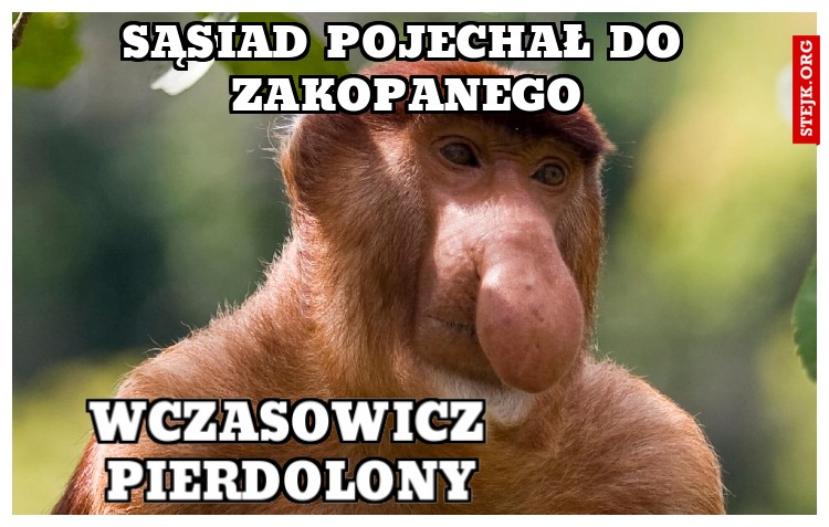 sąsiad pojechał do zakopanego