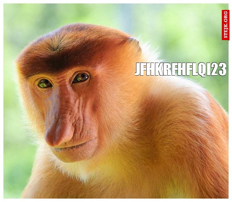 jfhkrfhflqi23