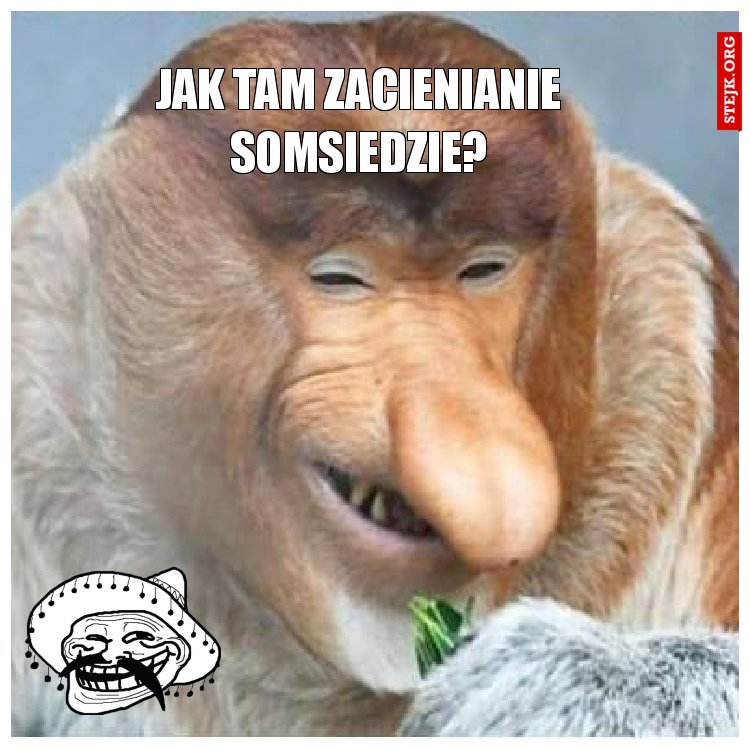 Jak TAM ZACIENIANIE SOMSIEDZIE?