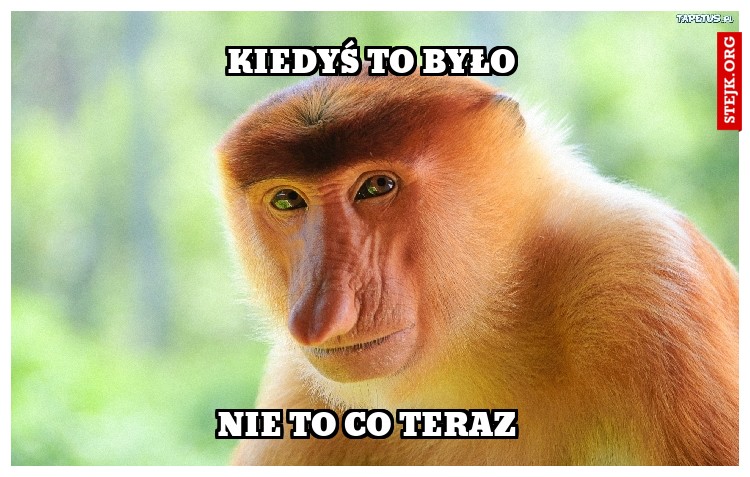 KIEDYŚ TO BYŁO