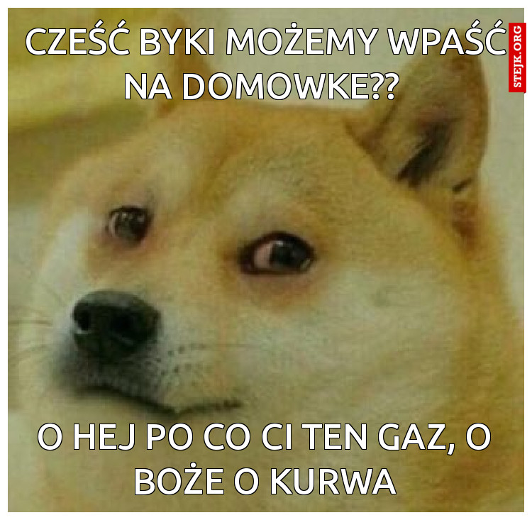 Cześć byki możemy wpaść na domowke?? 