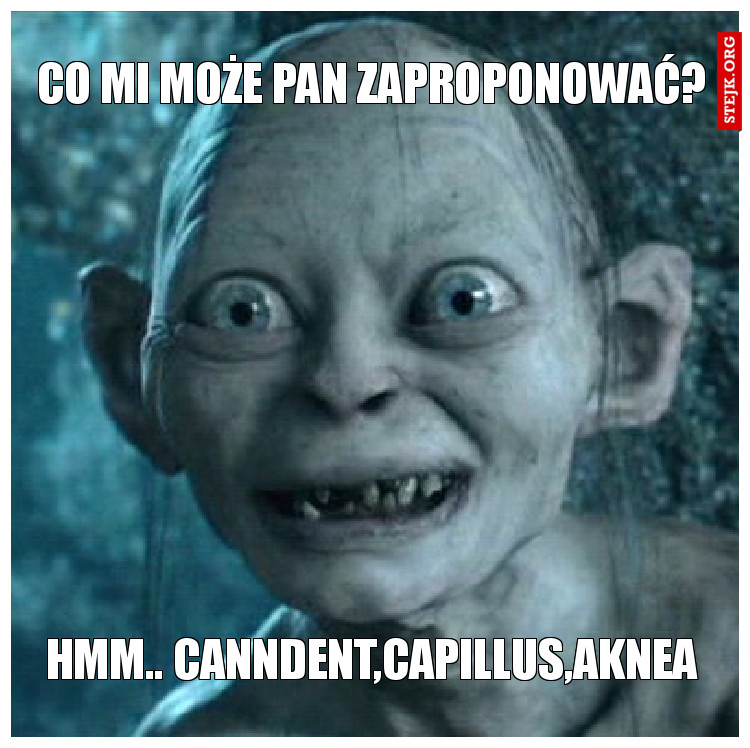 co mi może pan zaproponować?