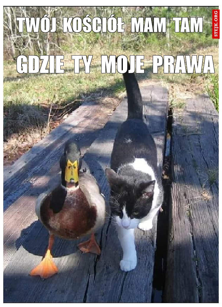 twój  kościół  mam  tam
