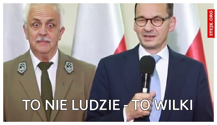 TO NIE LUDZIE - TO WILKI
