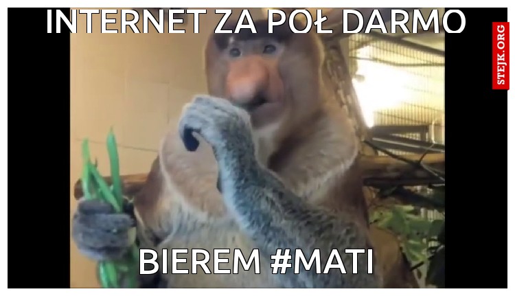 Internet za pół darmo