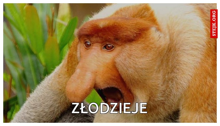 Złodzieje