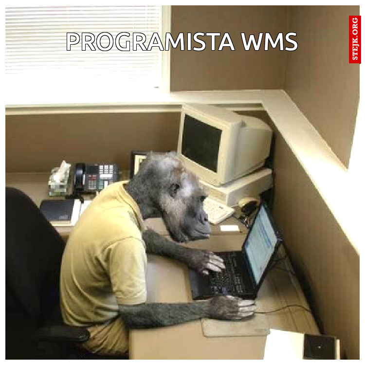 Programista WMS
