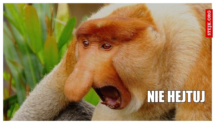 Nie hejtuj