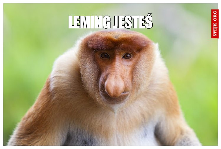 Leming jesteś 