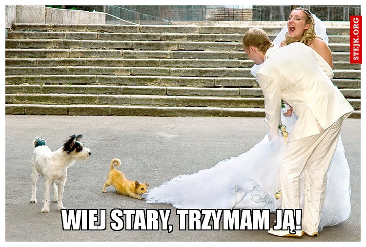 Wiej stary, trzymam ją!