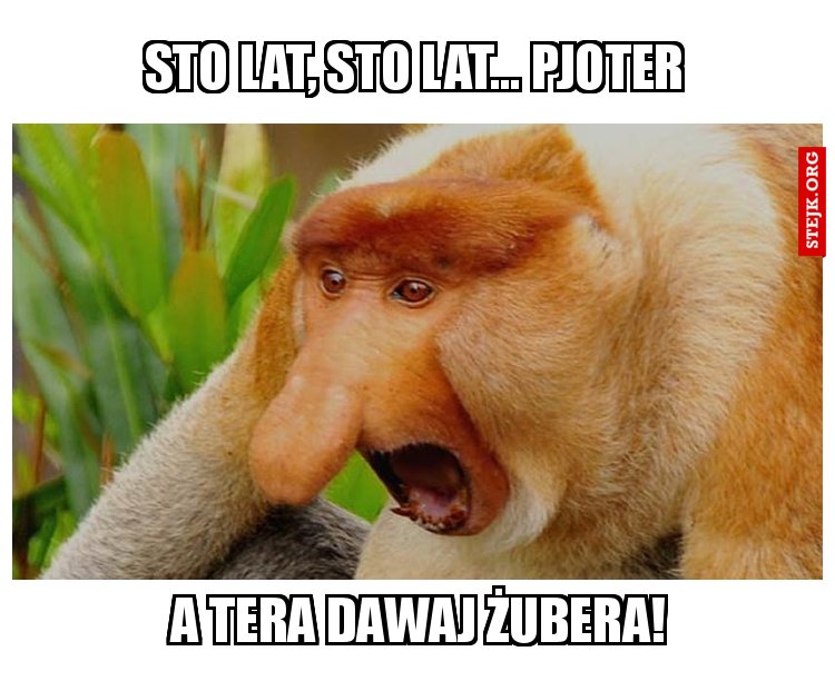 STO LAT, STO LAT... pJOTER