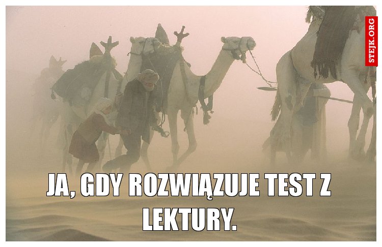 ja, gdy rozwiązuje test z lektury.