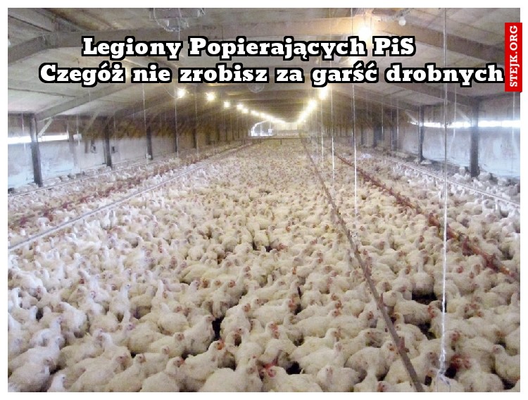         Legiony Popierających PiS              Czegóż nie zrobisz za garść drobnych
