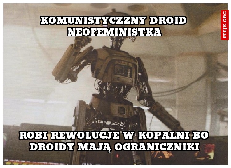 komunistyczzny droid neofeministka