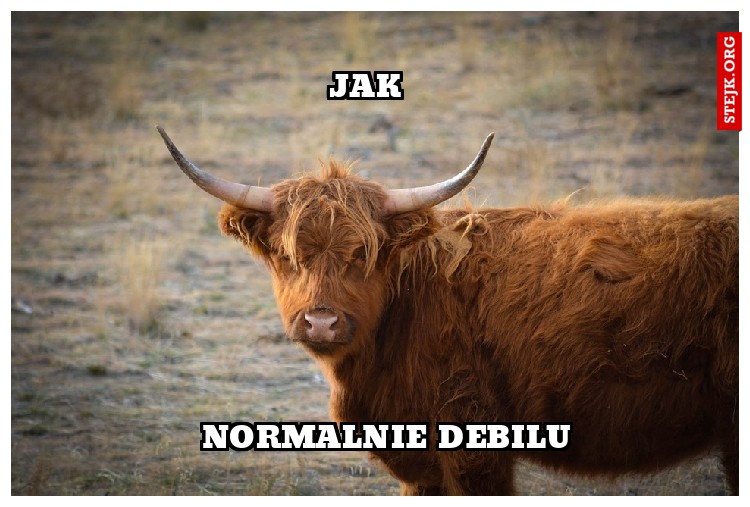 JAK