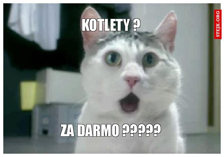 Kotlety ?