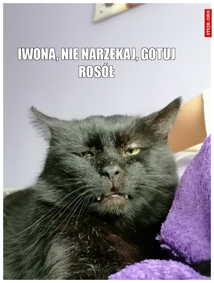Iwona, nie narzekaj, gotuj rosół