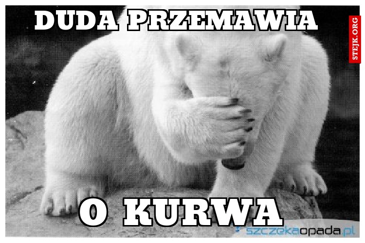 duda przemawia 