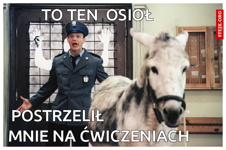  TO TEN  OSIOŁ