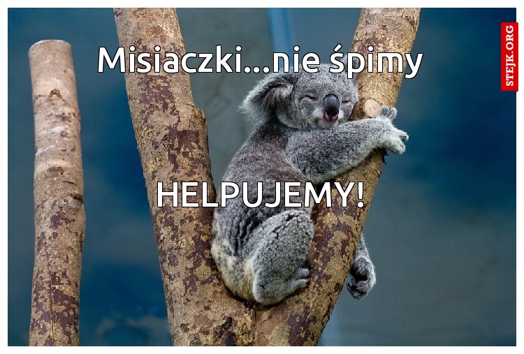 Misiaczki...nie śpimy