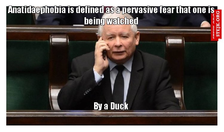 Anatidaephobia is defined as a pervasive fear that one is being watched