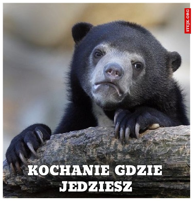 kochanie gdzie jedziesz