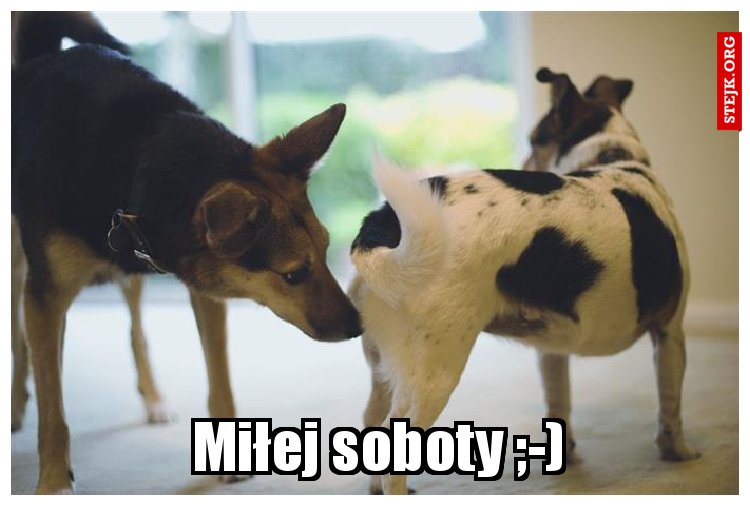 Miłej soboty ;-)