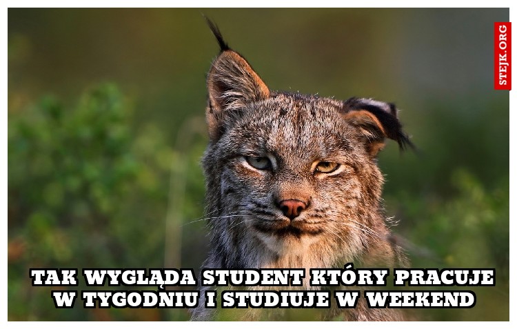 TAK WYGLĄDA STUDENT KTÓRY PRACUJE W TYGODNIU I STUDIUJE W WEEKEND
