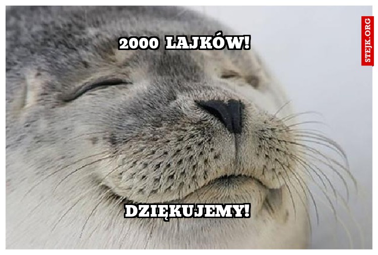 2000 lajków! 
