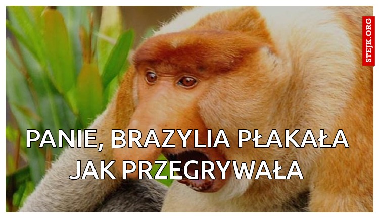 Panie, Brazylia płakała jak przegrywała