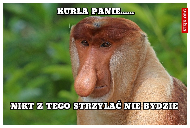 Kurła panie......