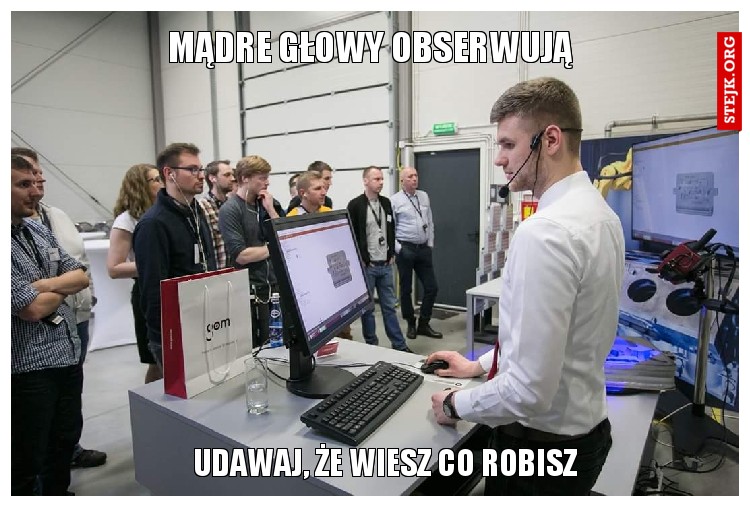 Mądre głowy obserwują