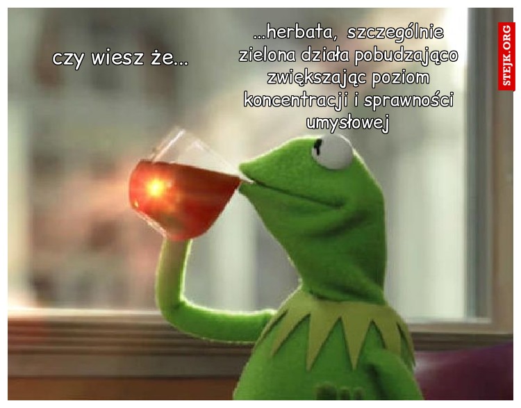 czy wiesz że...