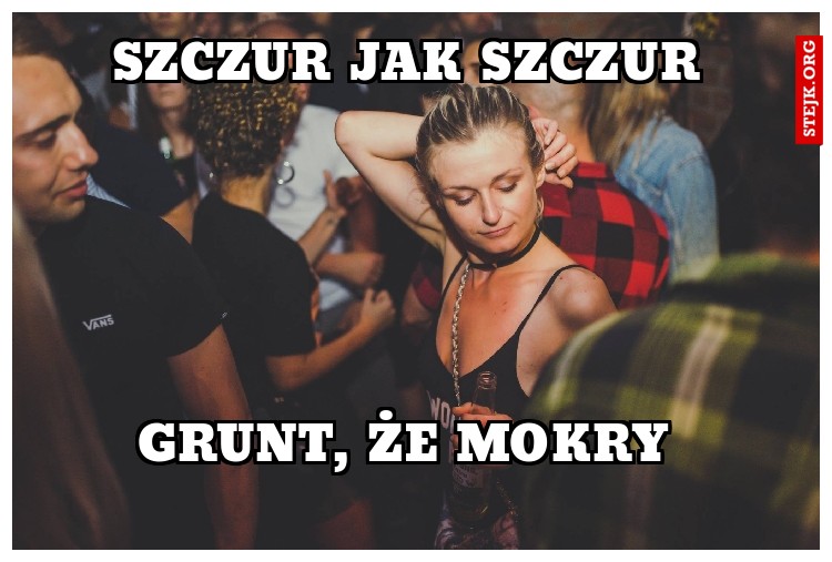 SZCZUR JAK SZCZUR