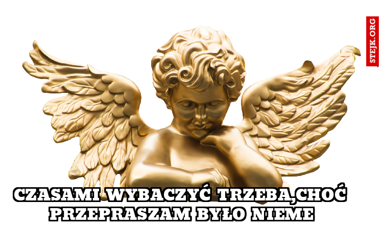 Czasami wybaczyć trzeba, choć przepraszam było nieme