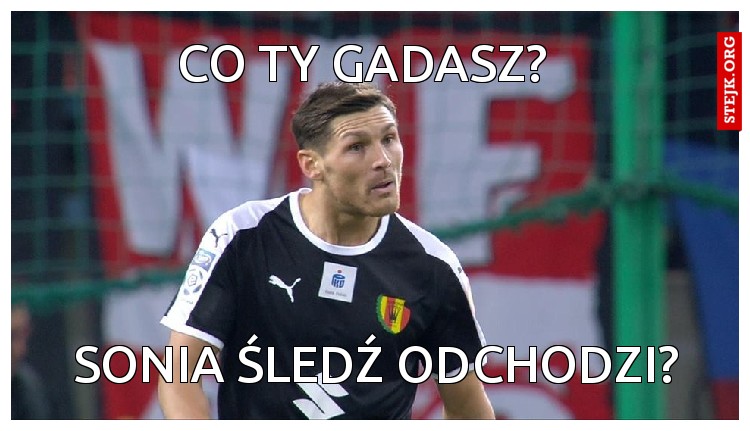 Co Ty Gadasz?
